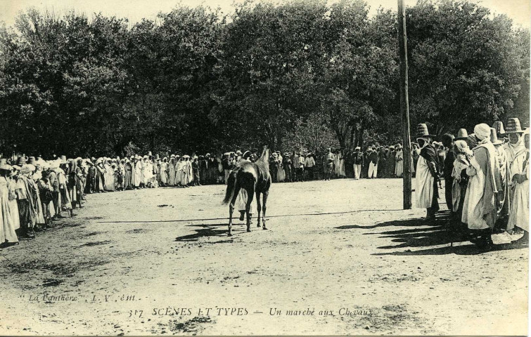 Un marché aux Chevaux