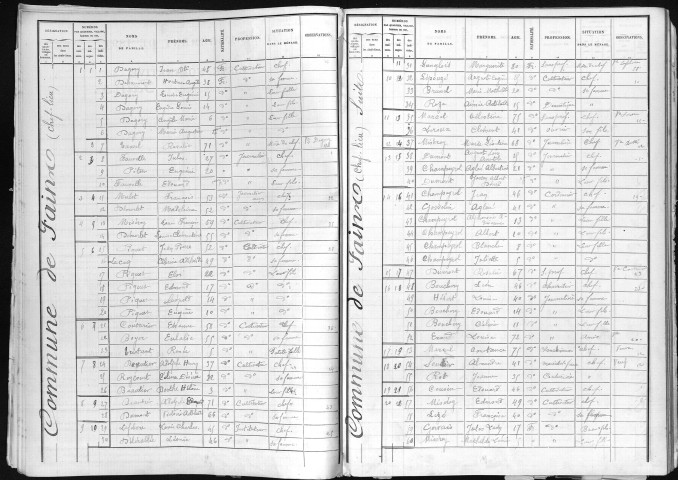 FAINS 1891