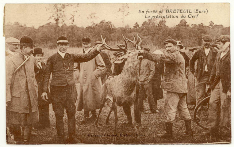 Breteuil-sur-Iton. En Forêt de Breteuil-La Présentation du Cerf.