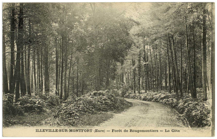Illeville-sur-Montfort. Forêt de Rougemontiers - La Côte.