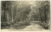 Illeville-sur-Montfort. Forêt de Rougemontiers - La Côte.