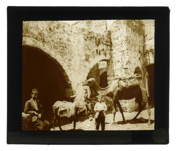 Bédouins, âne et dromadaire dans les rues de Baalbek (Liban).