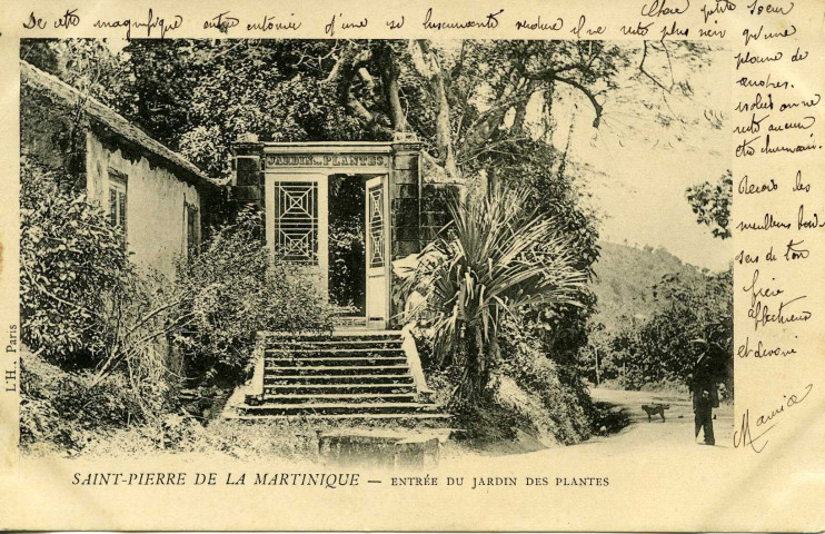 SAINT-PIERRE-DE-LA-MARTINIQUE - ENTRÉE DU JARDIN DES PLANTES