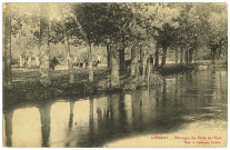 Giverny. Pâturages des Bords de l'Epte.
