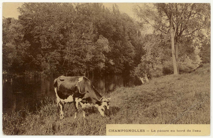 Champignolles. La Pâture au Bords de l'Eure.