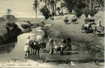 TOZEUR. - Porteurs d'Eau