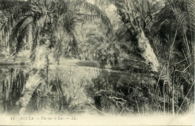 NEFTA. - Vue sur le Lac
