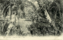 NEFTA. - Vue sur le Lac