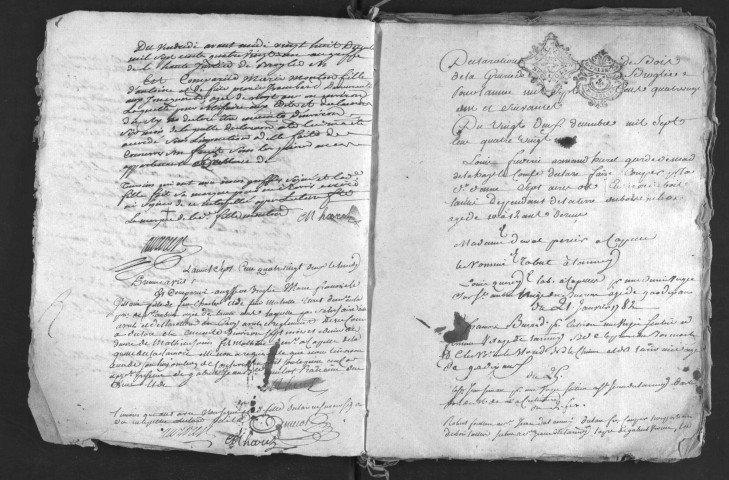 Déclarations de coupes de bois et d'armes à feu, déclarations de grossesse