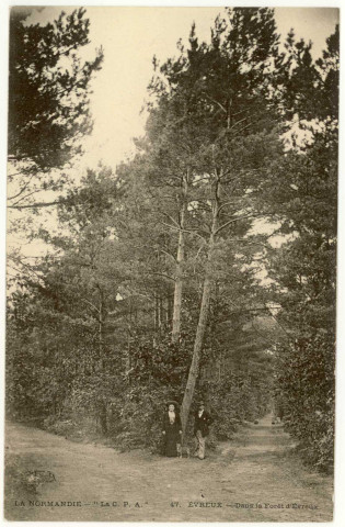 Evreux-Ville. La Madeleine : Dans la Forêt d'Evreux.