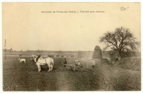 Fours-en-Vexin. Travail aux champs.