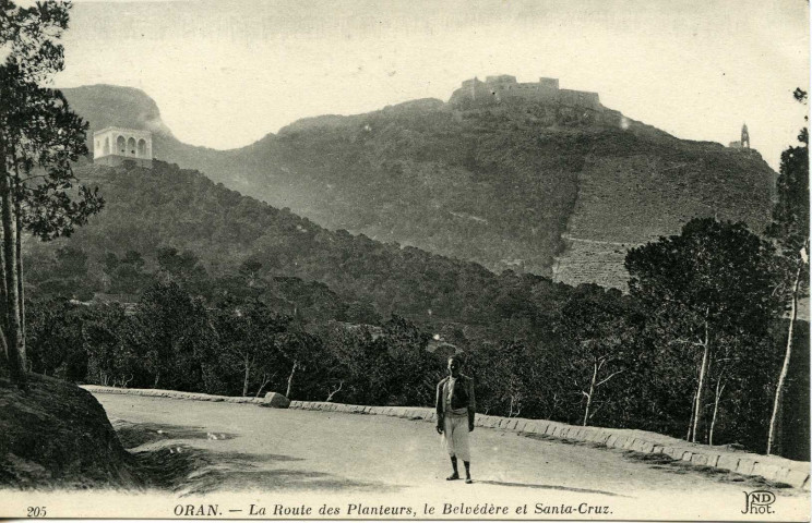 ORAN. - La Route des Planteurs, le Belvédère et Santa-Cruz
