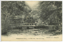 Thibouville. La Belle Voie - Mare aux Loups.