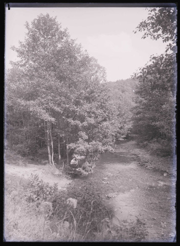 Rivière traversant la campagne boulonnaise (Pas-de-Calais).
