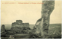 Andelys (Les). Petit Andely - Château Gaillard - Le Donjon cylindrique.
