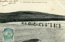 MADAGASCAR. - Filanzanes traversant une rivière