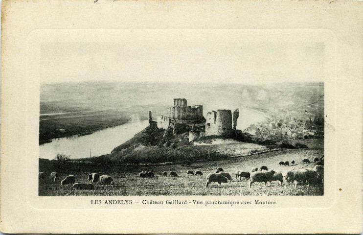 Andelys (Les). Château Gaillard. - Vue panoramique avec Moutons.
