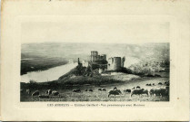Andelys (Les). Château Gaillard. - Vue panoramique avec Moutons.