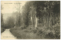 Lyons-la-Forêt. Un coin de Forêt.