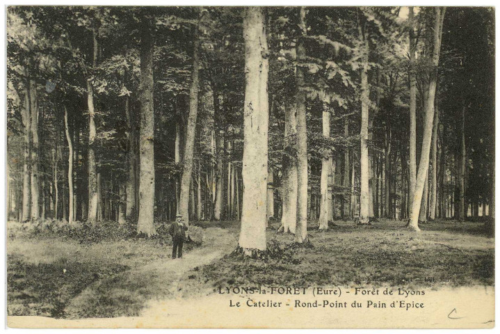 Lyons-la-Forêt. Forêt de Lyons - Le Catelier - Rond-point du Pain d'Epice.