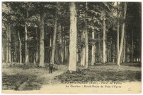 Lyons-la-Forêt. Forêt de Lyons - Le Catelier - Rond-point du Pain d'Epice.