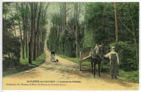 Saint-Pierre-du-Vauvray. L'Avenue du Château.