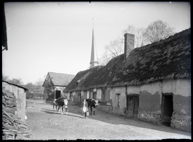 Ferme normande des environs de Ménesqueville (Eure).