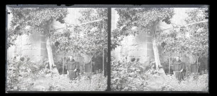 Moine catholique dans un potager.