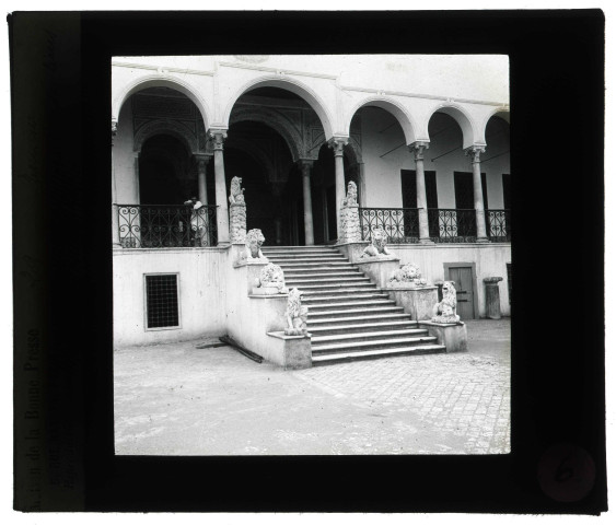 Escalier des lions à Tunis (Tunisie).