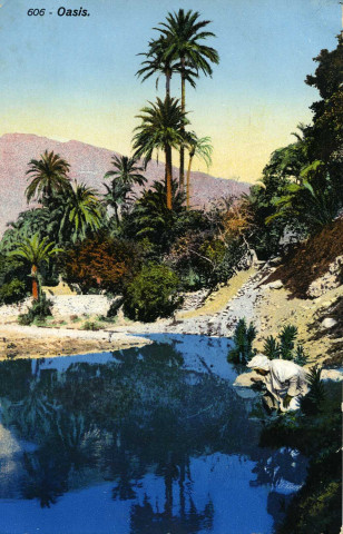 Oasis