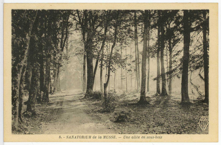 Saint-Sébastien-de-Morsent. Sanatoriums Emile Roux. - Une allée en sous-bois.