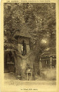 Andelys (Les). Le Tilleul de la Fontaine miraculeuse.