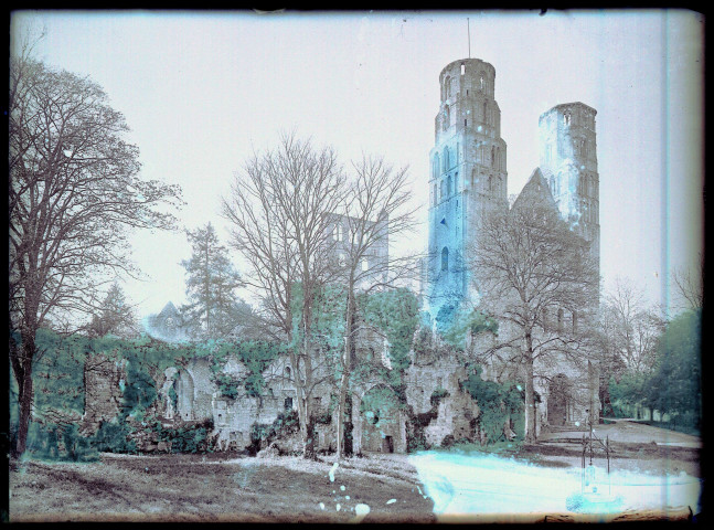Tour et pignons des ruines et vestiges de l'abbaye de Jumièges (Seine-Maritime).