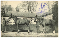 Menneval. Ecuries de Menneval. 1907. - «Belle Amie» et «Citrouille», paire de Juments par «Cornekraque».