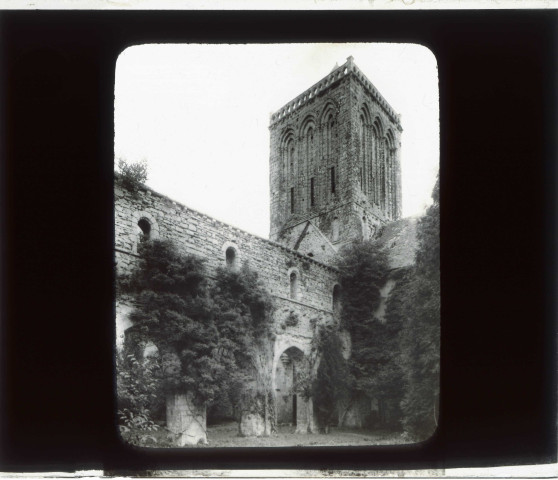 Ruines de l'abbaye de la Lucerne à La-Haye-Pesnel (Calvados).
