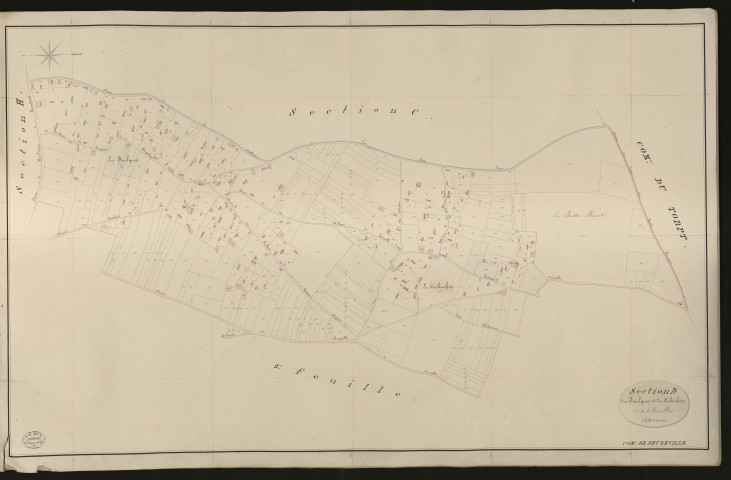 Beuzeville. Section D _ des Faulques et du Corduchon _ 1re de 2 Feuilles