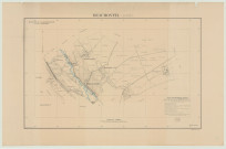 Beaumontel _ MRU _ Plan topographique dressé d'après triangulation IGN ainsi que les plans cadastraux de 1826, le plan parcellaire de la SNCF, un agrandissement de la carte au 1/40.000e complétée pour les cotes et les courbes de niveau, et l'indication des chemins bétonnés par les Allemands pour servir de piste à leur terrain d'aviation de Beaumont-le-Roger.