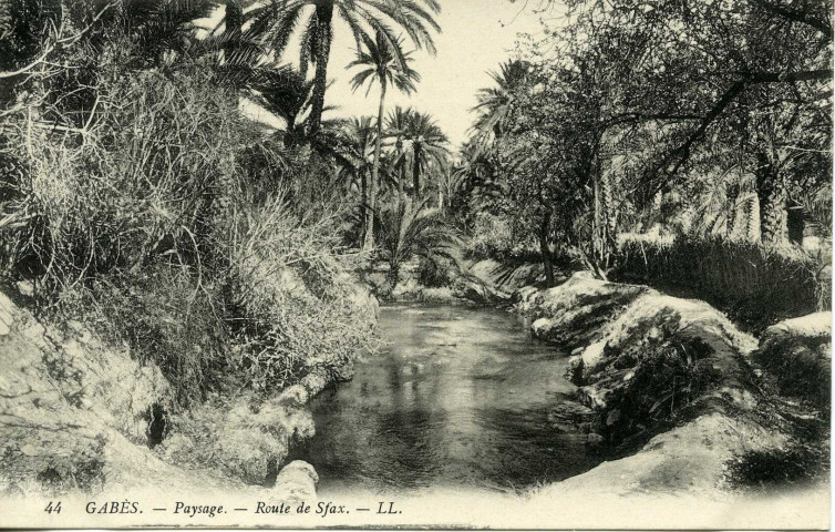 GABÈS. - Paysage. - Route de Sfax