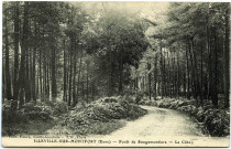 Illeville-sur-Montfort. Forêt de Rougemontiers - La Côte.