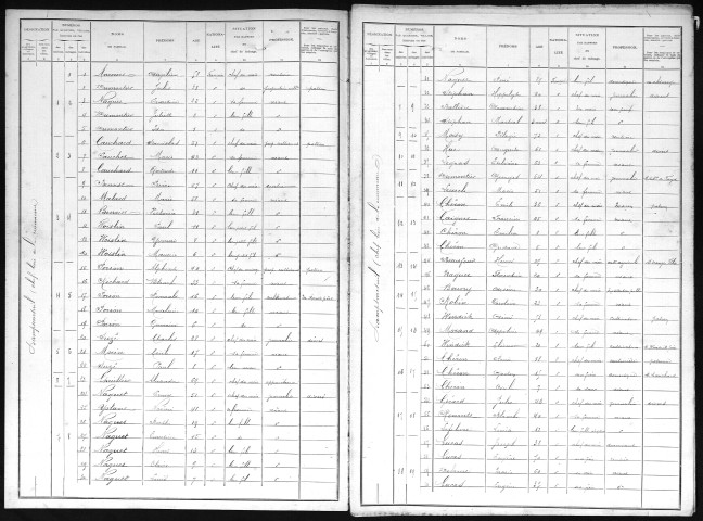DAMPSMESNIL 1901