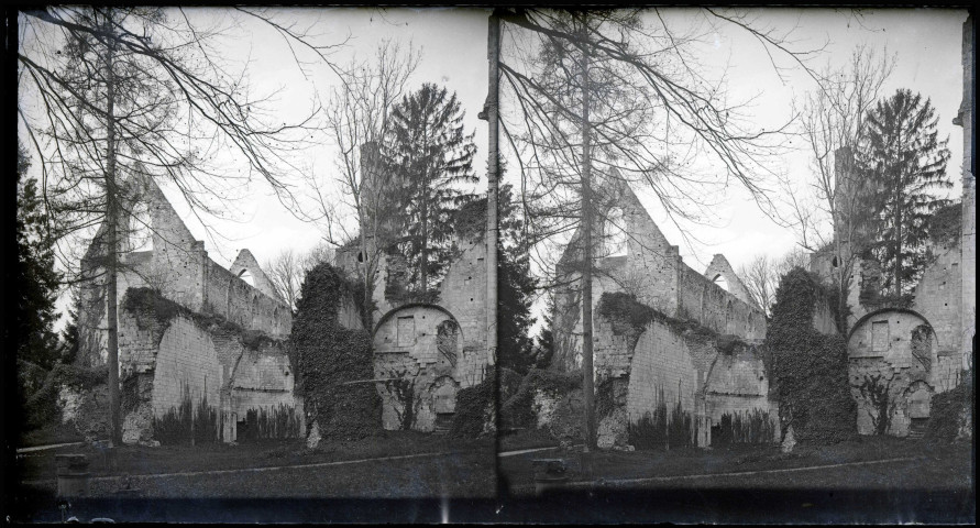 Tour et pignons des ruines et vestiges de l'abbaye de Jumièges (Seine-Maritime).