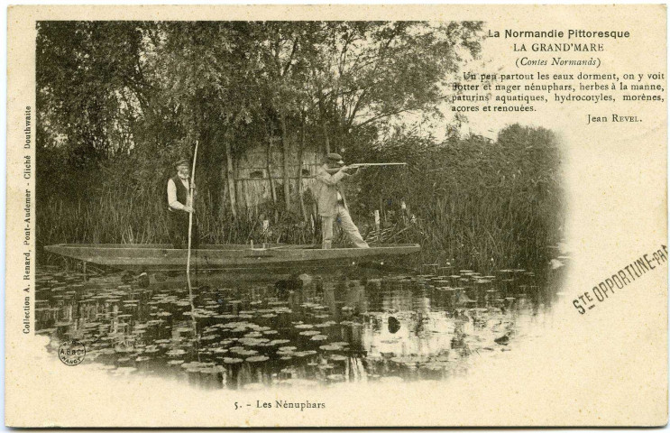 Divers. La Normandie Pittoresque. - La Grand'Mare (Contes Normands) de Jean Revel. - Les Nénuphars.