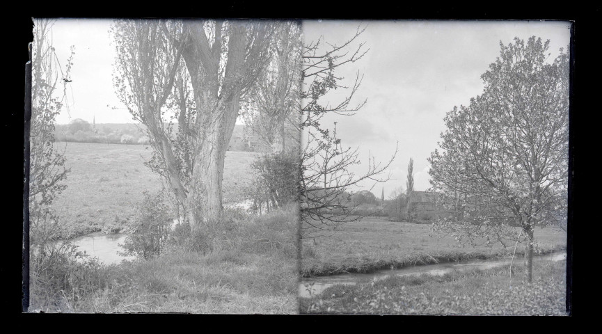 Basse-cour dans la campagne normande.