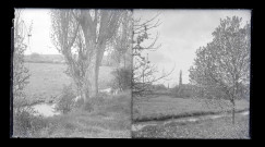 Basse-cour dans la campagne normande.
