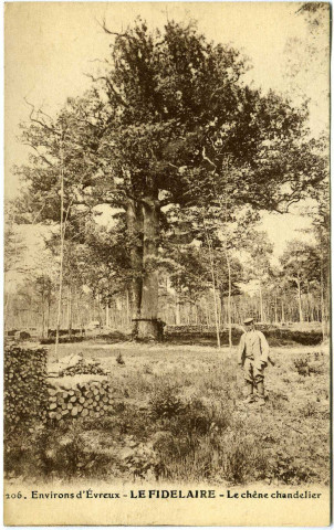 Fidelaire (Le). Le Chêne Chandeller.