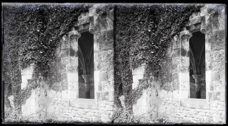 Ruines et vestiges de l'abbaye Notre-Dame-de-Fontaine-Guérard à Radepont (Eure).