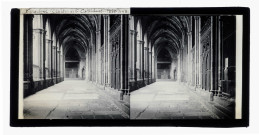 Galerie du cloître de la basilique Sainte-Eulalie de Barcelone (Espagne).