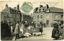 Basse-Normandie. Flers. - Le Marché aux cochons.