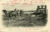 TUNISIE. - Noria à Métameur