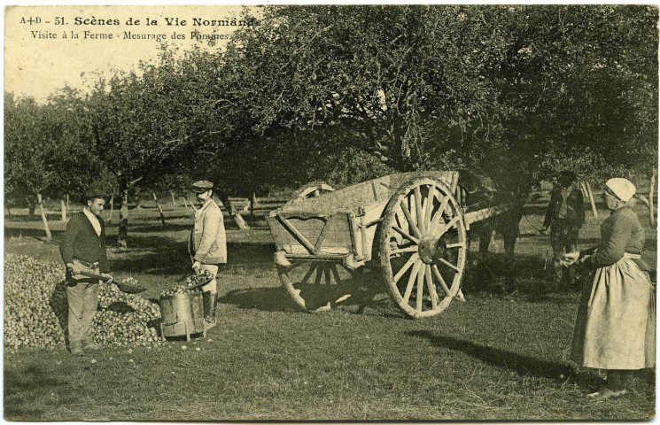 Divers. Scènes de la Vie Normande. - Visite à la Ferme : Mesurage des pommes.